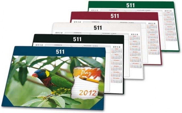 RISQUE E RABISQUE GRANDE