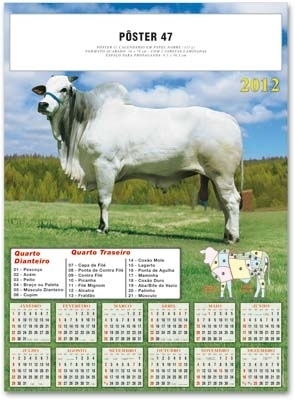 CALENDÁRIO PÔSTER 47 