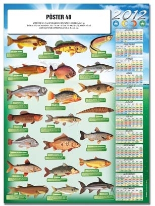 CALENDÁRIO PÔSTER 48